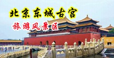 操黑丝嫩穴15中国北京-东城古宫旅游风景区
